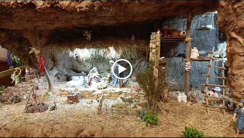 Drago Tricentenario — Videos