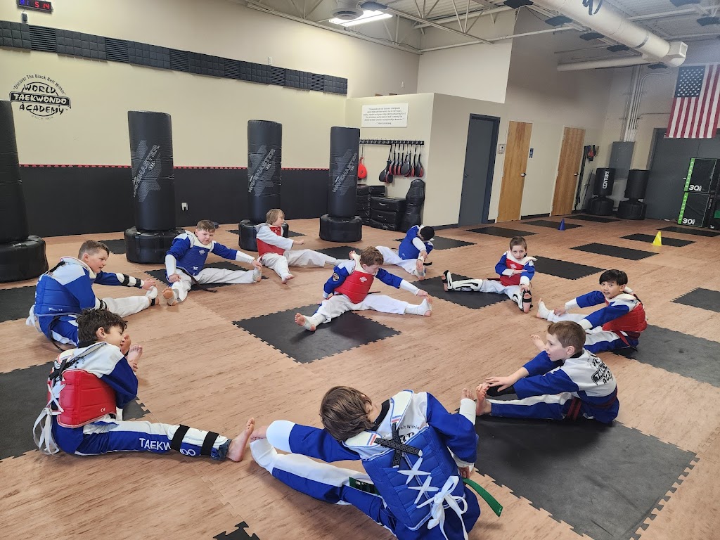  World Taekwondo Academy