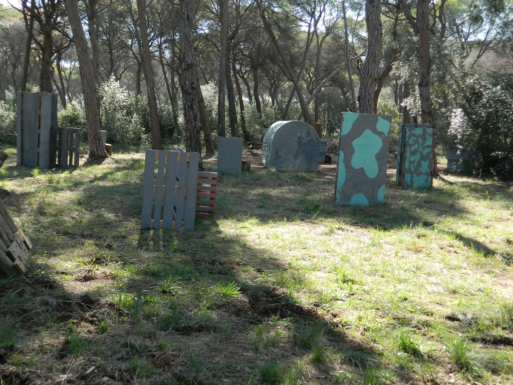 DiverBattleCamp