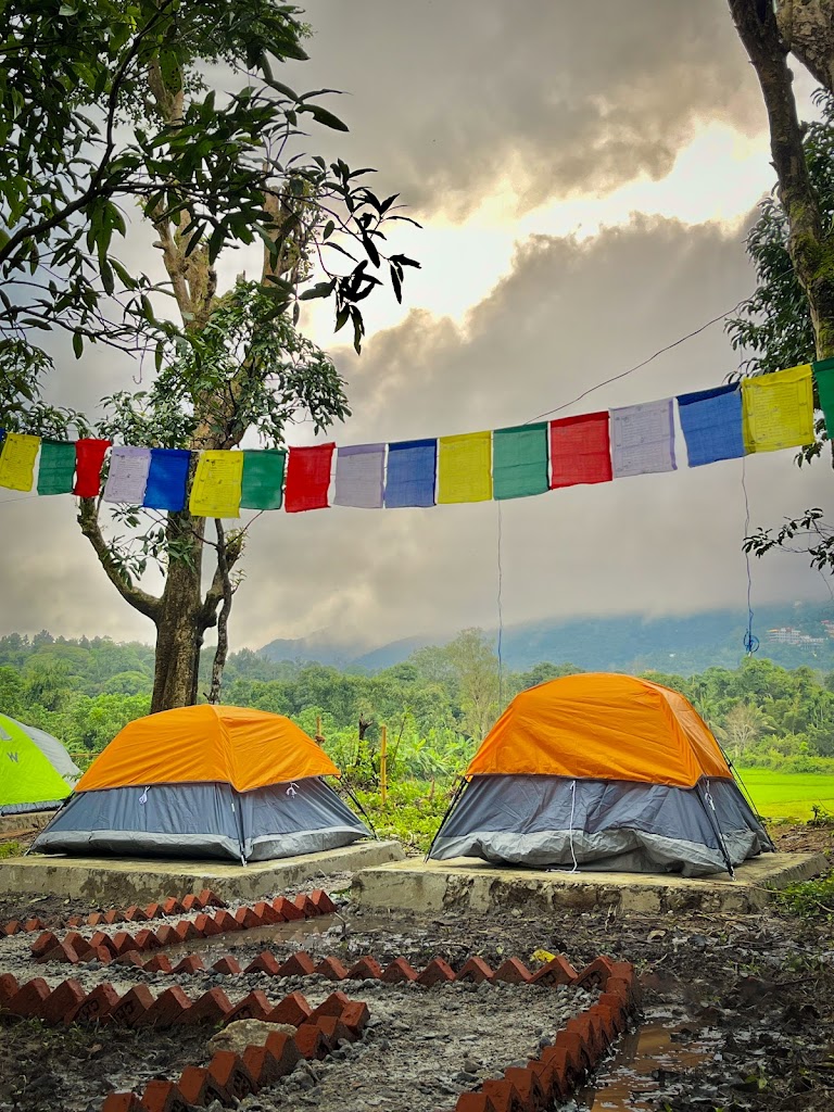 Camping