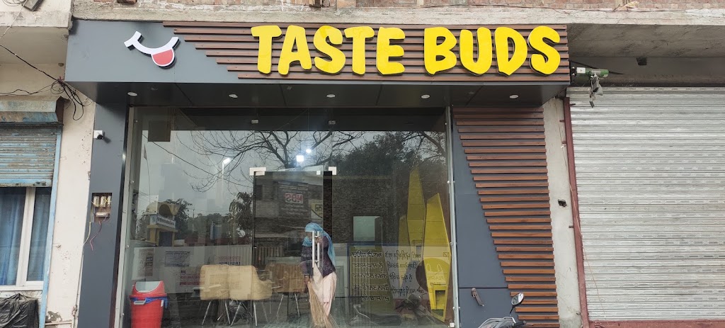 Taste Buds Twb