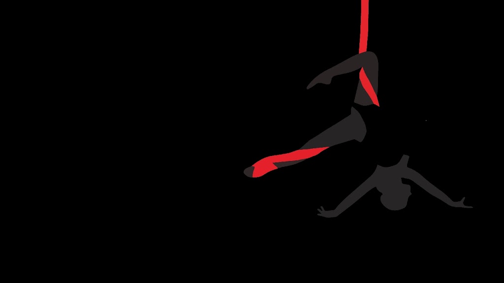  Republic Aerial Yoga