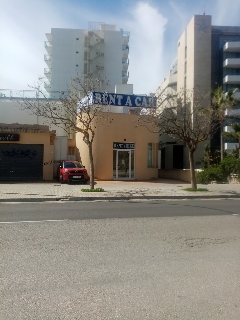 RENT A CAR -GRUPO ANSE 2004