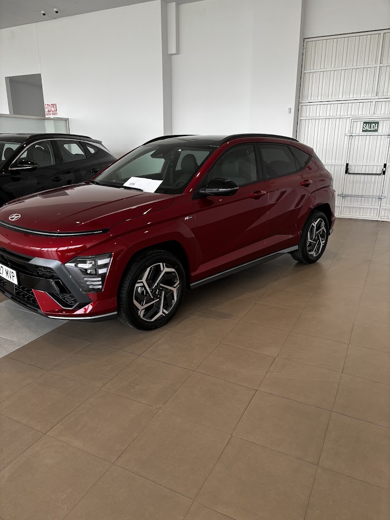 Lemauto Hyundai Bierzo — Interior