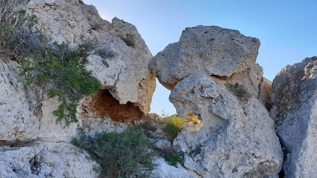 El pulmon de La Atalaya