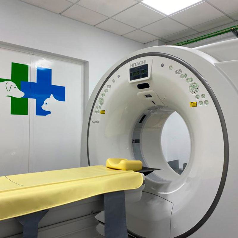 Centro Veterinario Faunia — Del propietario