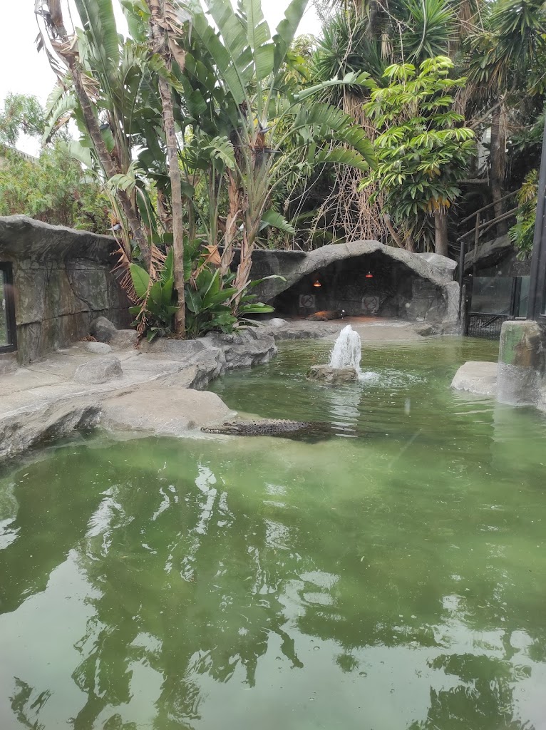 Maroparque Isla de La Palma "Fundacion Maroparque" Centro de Rescate de animales exoticos