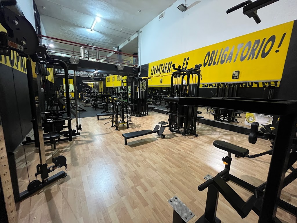 Gym Puerto Palace