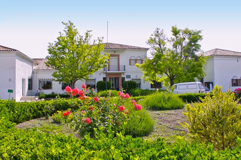 IFAPA Centro Venta del Llano