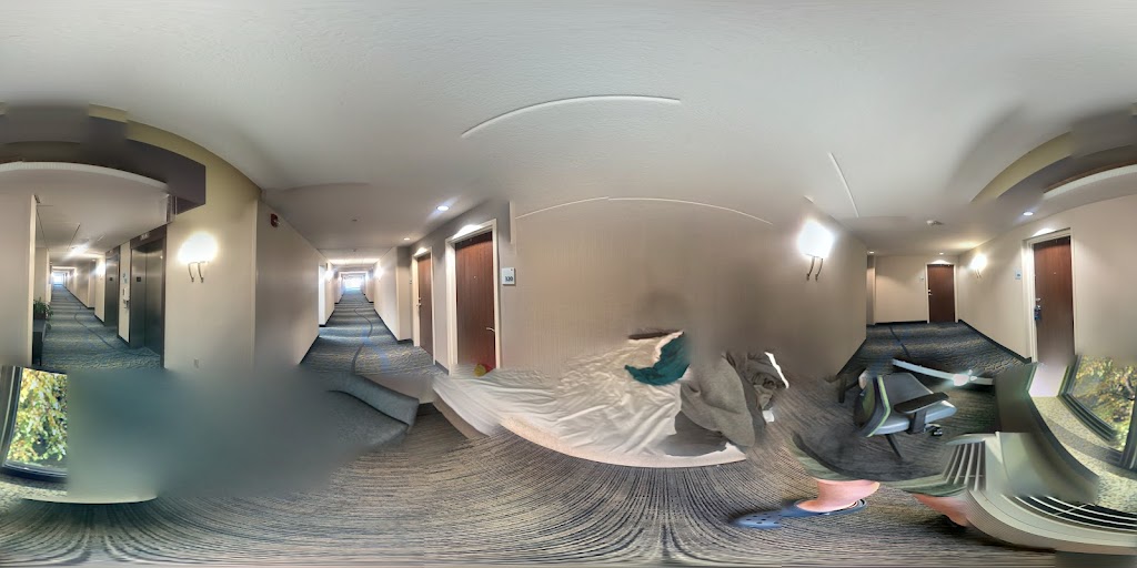 Street View & 360°