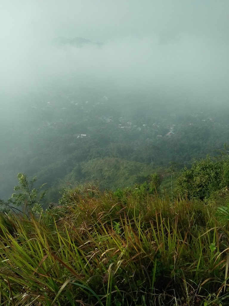 Bukit Brongkol, Cempaka
