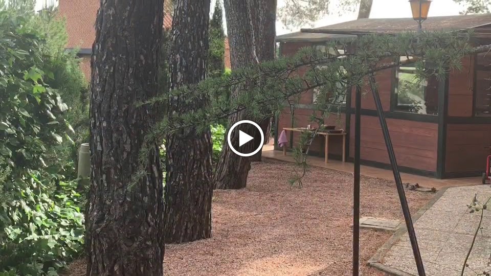 Escuela Montessori Madrid — Del propietario