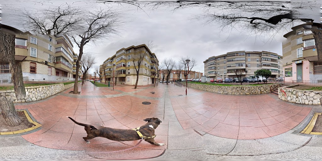 Cafeteria Madrid — Street View y 360deg
