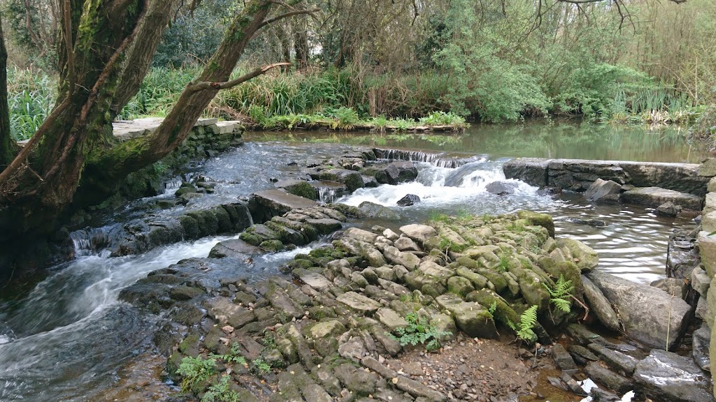 Rio Sar - Pontepedrina
