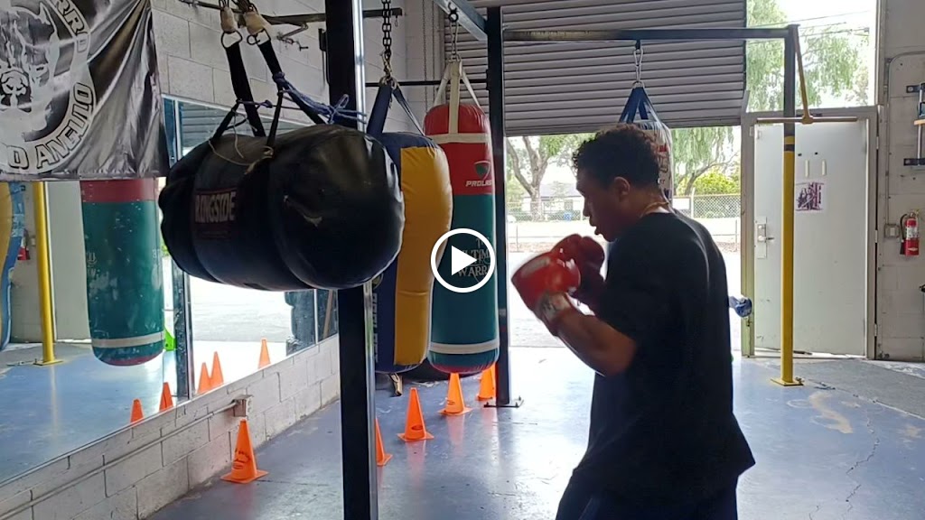  The Ultimate Warriors Boxing Academy