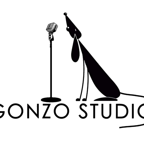 Estudio Gonzo - Grabacion Online — Del propietario