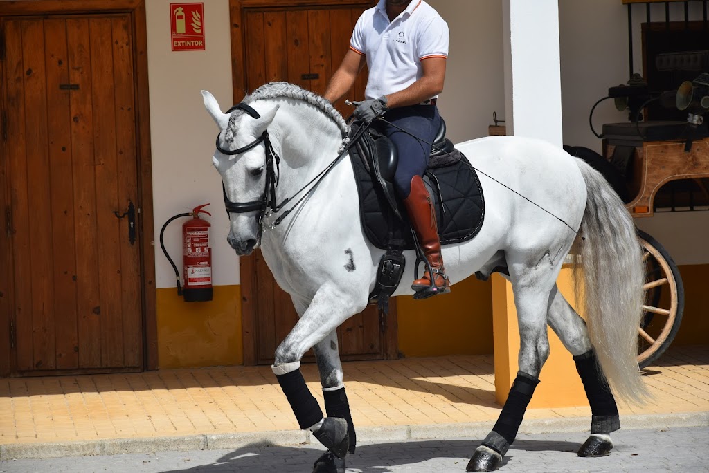Finca La Panoleta - Club Hipico