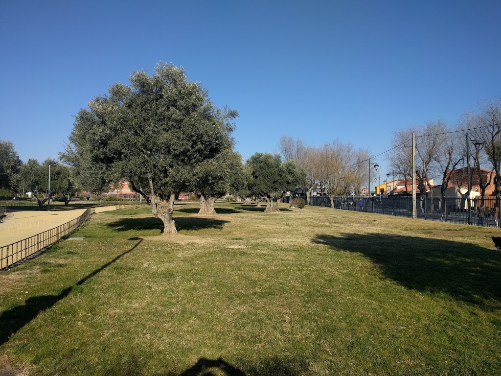 Parque De Bartolome Hurtado