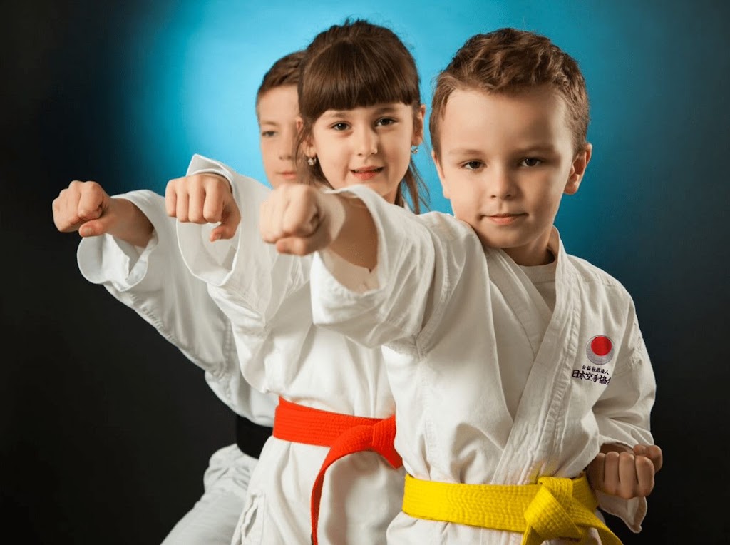 Jka Shotokan Espana — Del propietario