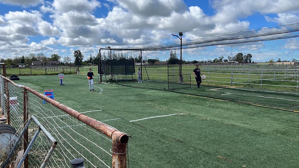  Taylor Peasha Training