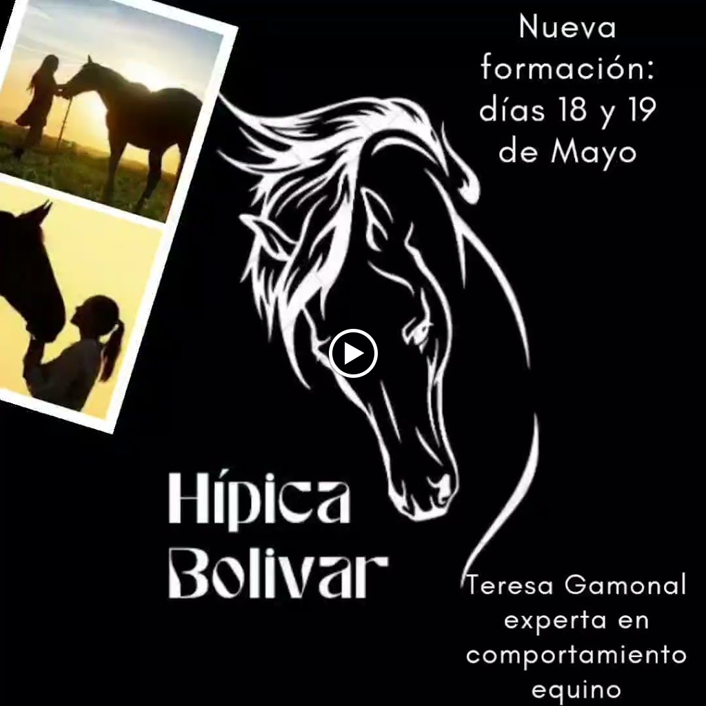 Hipica Bolivar | Hipica en Castellon | Granja Escuela en Castellon — Del propietario