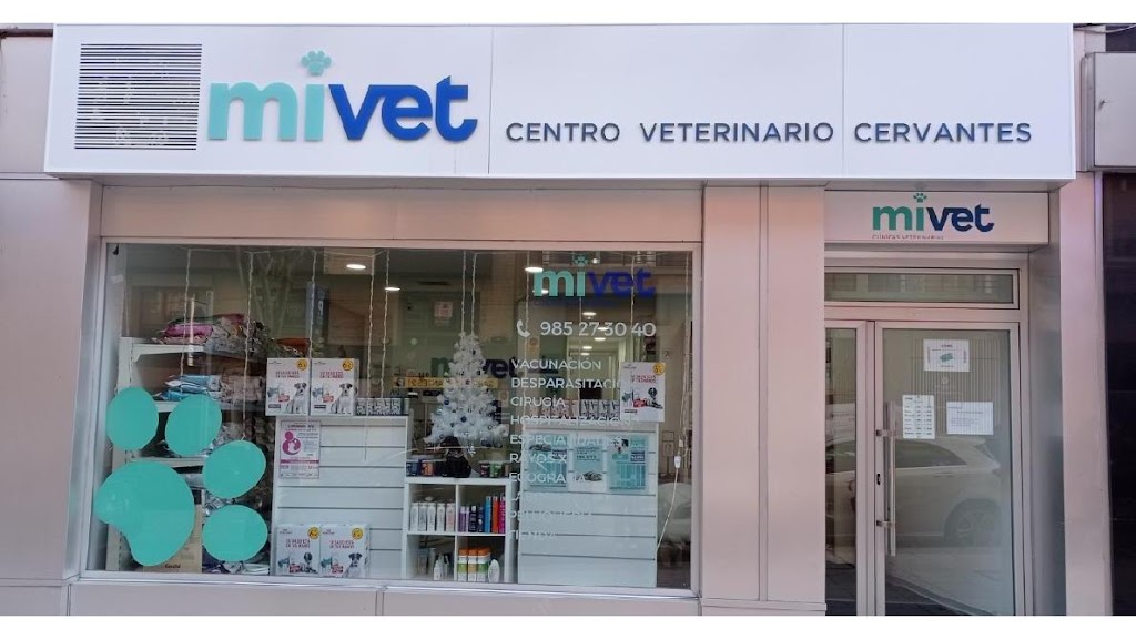 Clinica Veterinaria Cervantes | MiVet