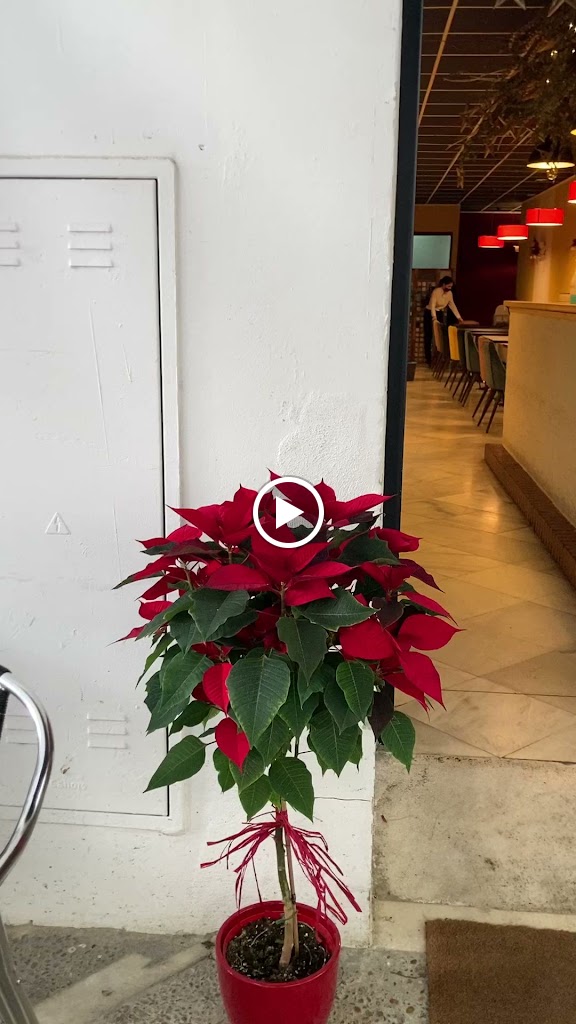 Roneo bar y restaurante — Ambiente