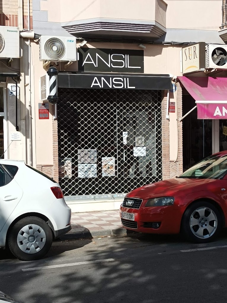 ANSIL PELUQUEROS - Peluqueria y Barberia En Albolote