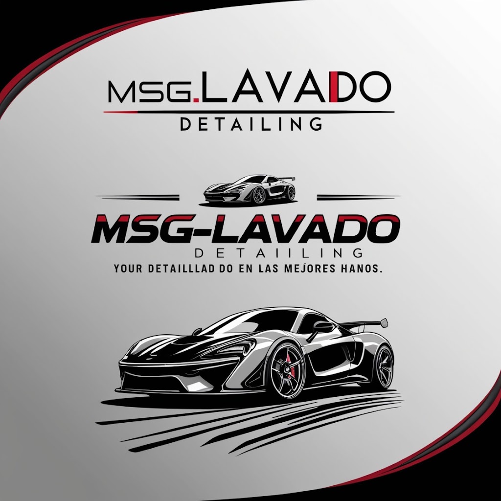 MSG_LAVADODETAILIN — Del propietario
