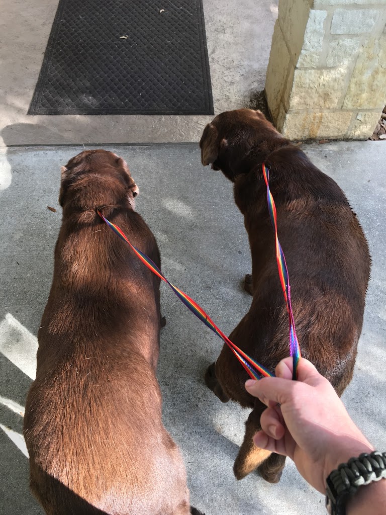 Perro