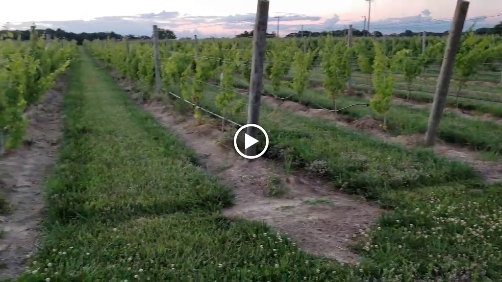 Videos