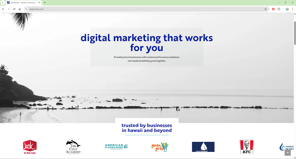 Digivortex Hawaii Website Digital Marketing Agency