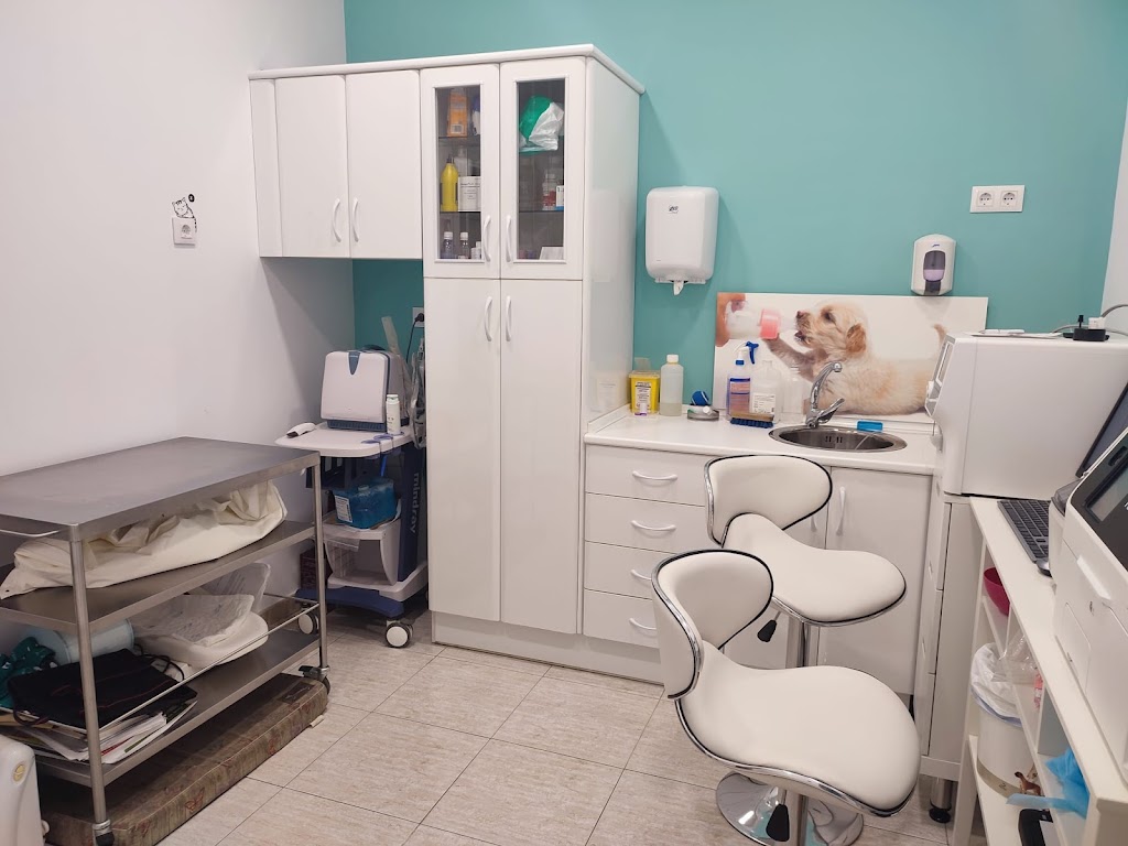 Clinica Veterinaria Animaluchos