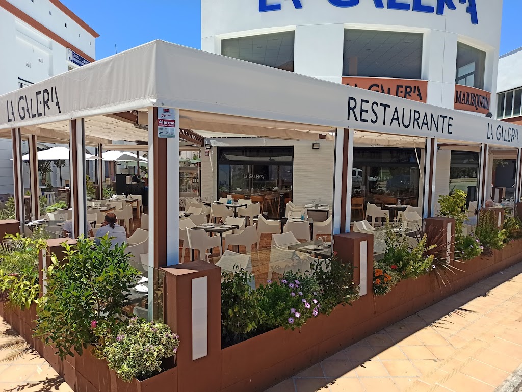 Restaurante Marisqueria La Galeria de Paco