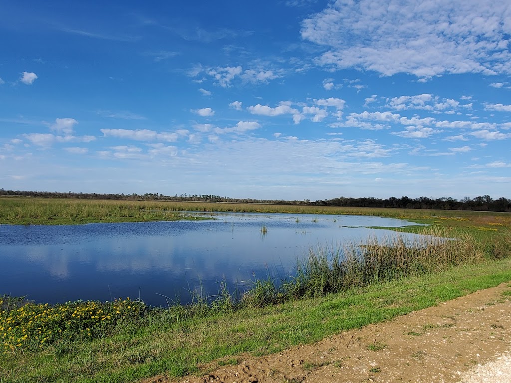 Cattail Marsh