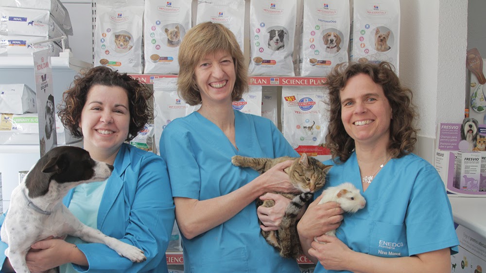 Clinica Veterinaria Enedos