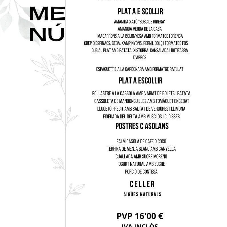 Bosc de Ribera — Carta