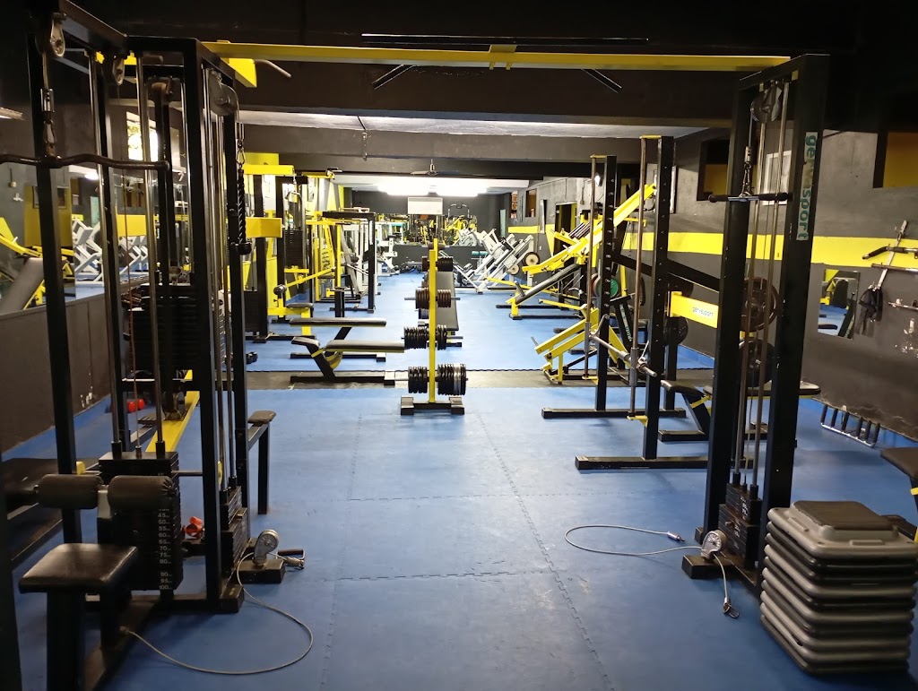 Gimnasio Master Gym fitness