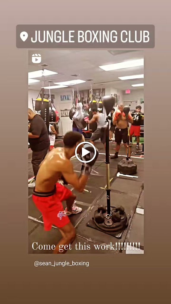  Jungle Boxing Club