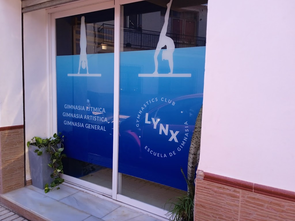 LYNX Gymnastics Club