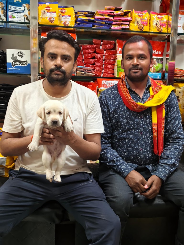 𝗛𝗮𝗿𝘀𝗵 𝗗𝗼𝗴 𝗞𝗲𝗻𝗻𝗲𝗹 - Pet Shop in Var - Reviews, Contact Number & Phone