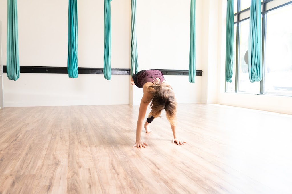  AIR® Aerial Fitness - Lakeview