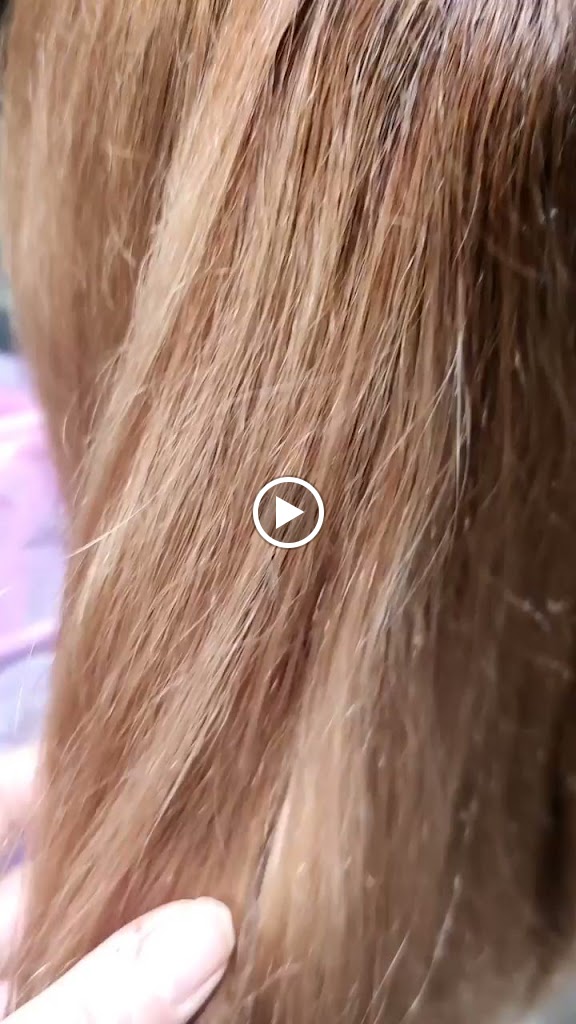 Peluqueria Natasha — Videos