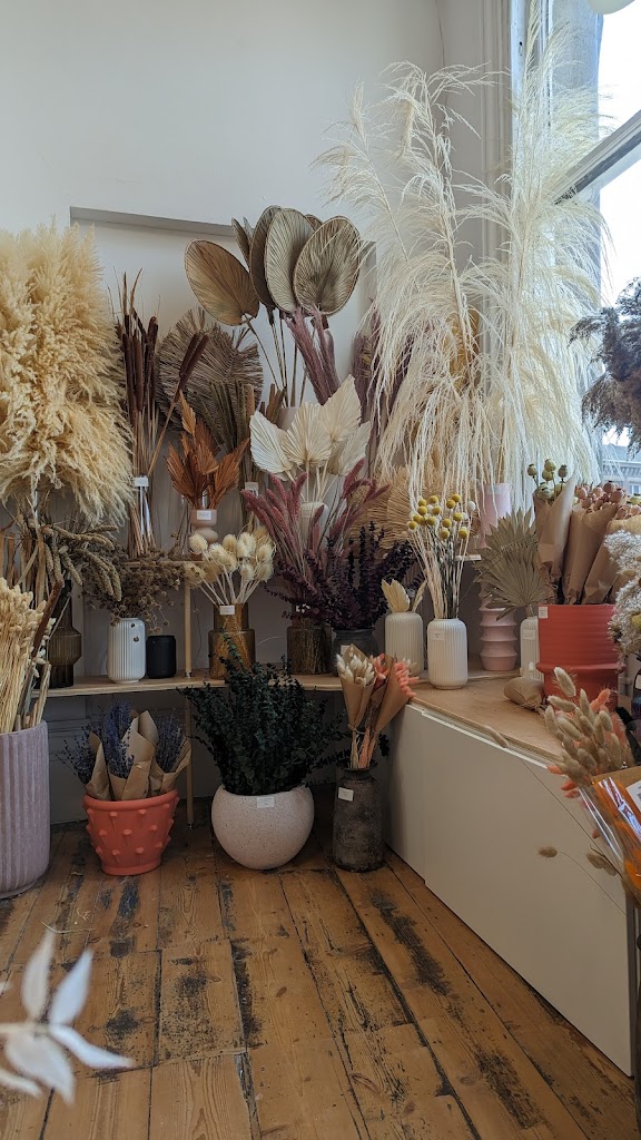 Attic In bloom