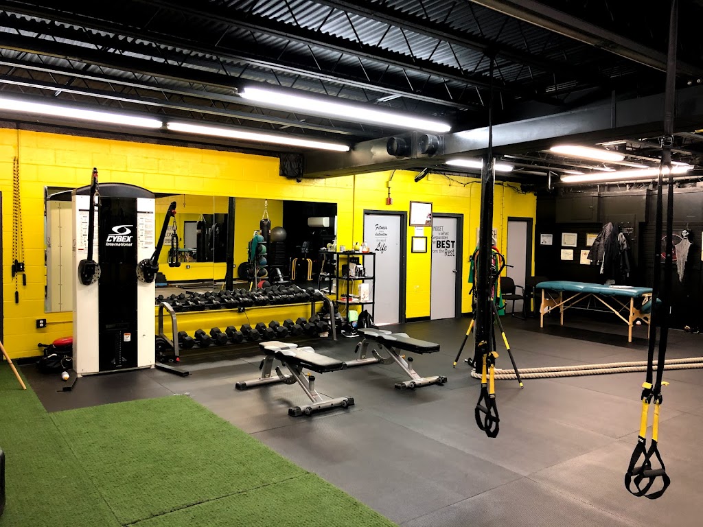  Vigor Transformations