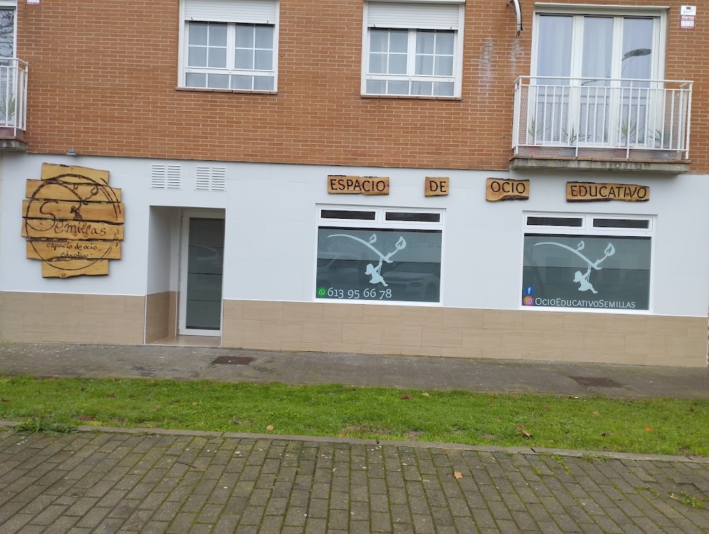 OCIO EDUCATIVO SEMILLAS