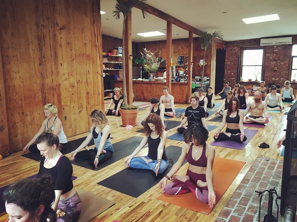  Ashtanga Yoga Training @ New Vibe Yoga