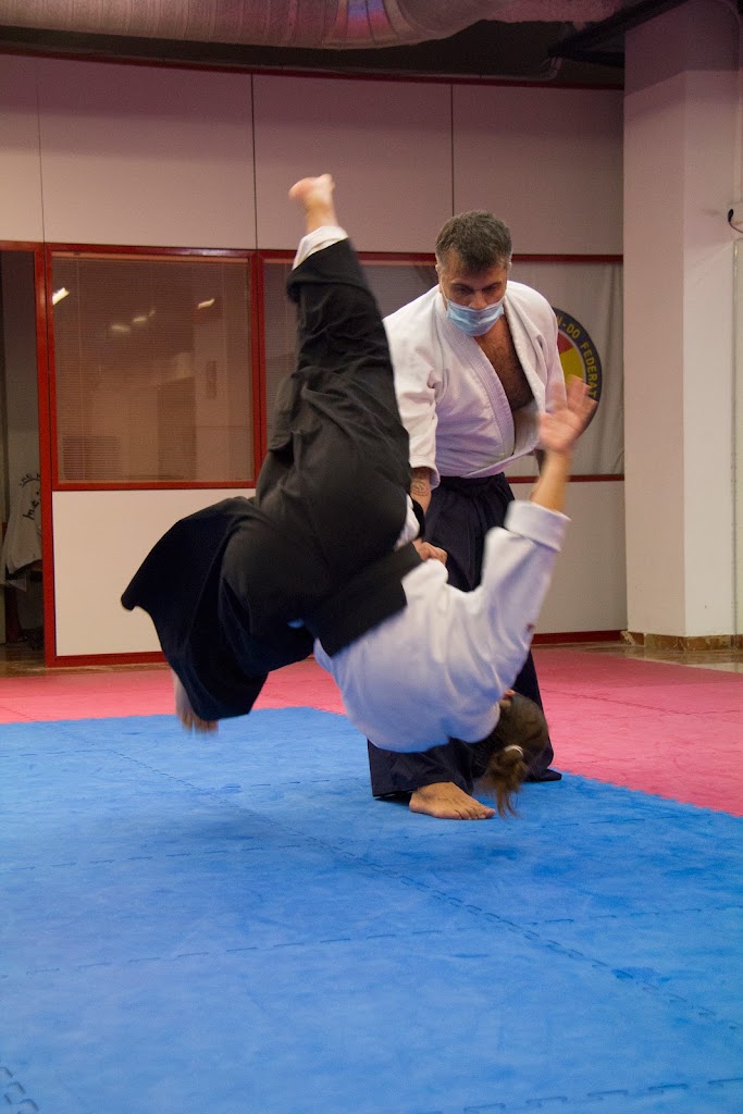 Aikido Rocafort — Del propietario
