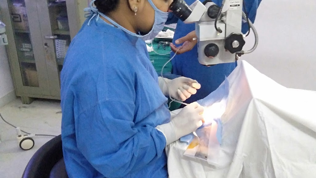 Dr Meenal Gupta