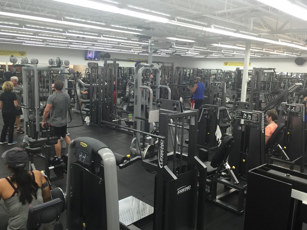  Ironclad Gym by King Tolo